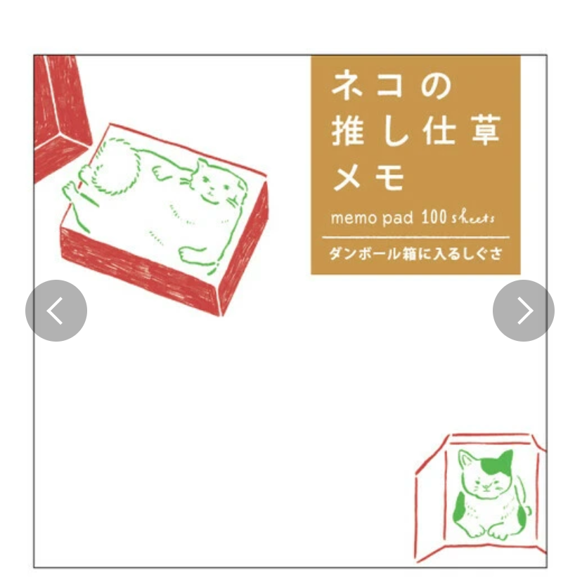 Green cat line art/ in Box Memo Pad